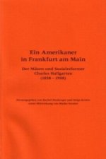 Ein Amerikaner in Frankfurt am Main