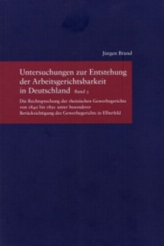 Untersuchungen zur Entstehung der Arbeitsgerichtsbarkeit in Deutschland. Bd.3