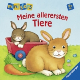 ministeps: Meine allerersten Tiere