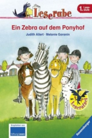 Ein Zebra auf dem Ponyhof