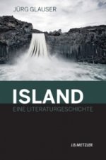 Island - Eine Literaturgeschichte