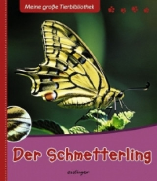 Der Schmetterling