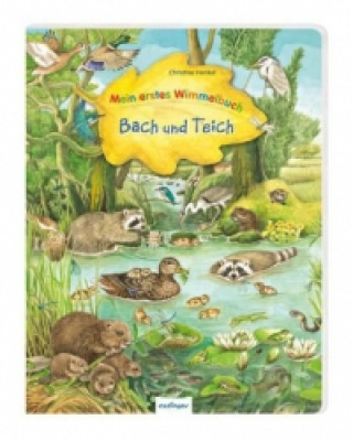 Mein erstes Wimmelbuch - Bach und Teich