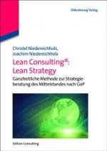 Lean Consulting