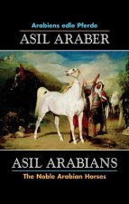 Asil Arabians