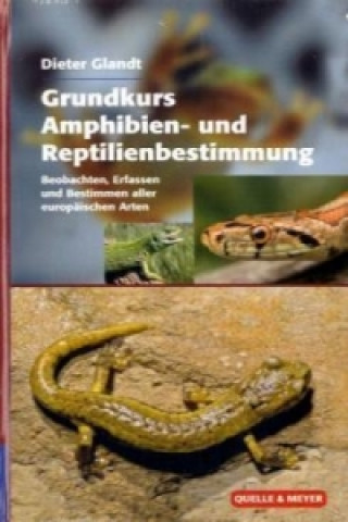 Grundkurs Amphibien- und Reptilienbestimmung