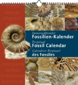 Immerwährender Fossilien-Kalender