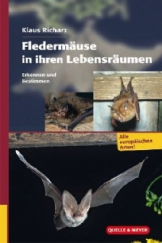 Fledermäuse in ihren Lebensräumen