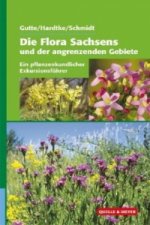 Die Flora Sachsens und angrenzender Gebiete