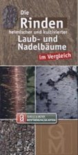 Die Rinden heimischer und kultivierter Laub- und Nadelbäume im Vergleich, Leporello