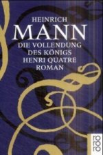 Die Vollendung des Königs Henri Quatre