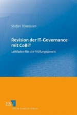 Revision der IT-Governance mit CoBiT