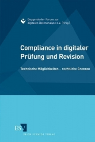 Compliance in digitaler Prüfung und Revision