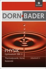 Dorn / Bader Physik SII - Ausgabe 2011
