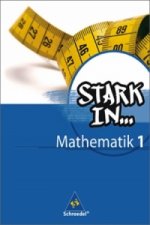 Stark in Mathematik - Ausgabe 2008