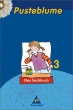 3. Schuljahr, Schülerband