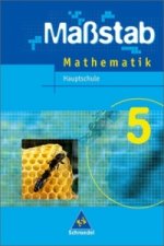 Maßstab - Mathematik für Hauptschulen in Nordrhein-Westfalen und Bremen - Ausgabe 2005