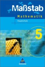 Maßstab - Mathematik für Hauptschulen in Niedersachsen - Ausgabe 2005