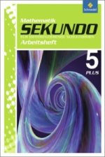 Sekundo: Mathematik für differenzierende Schulformen - Ausgabe 2009