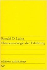 Phänomenologie der Erfahrung