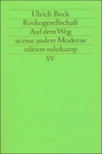 Risikogesellschaft