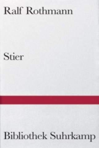 Stier