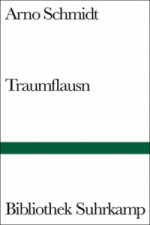 Traumflausn