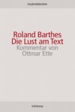 Die Lust am Text