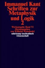 Schriften zur Metaphysik und Logik. Tl.2