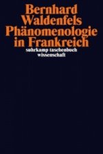 Phänomenologie in Frankreich