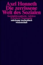 Die zerrissene Welt des Sozialen
