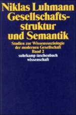 Gesellschaftsstruktur und Semantik. Bd.2