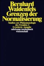 Grenzen der Normalisierung