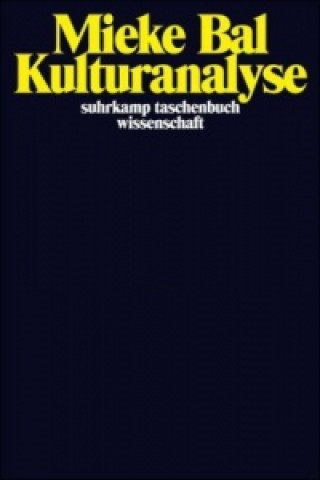 Kulturanalyse