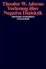 Vorlesung über Negative Dialektik