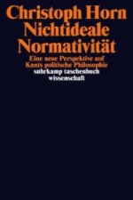 Nichtideale Normativität