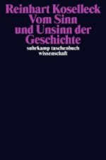 Vom Sinn und Unsinn der Geschichte