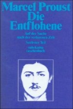 Auf der Suche nach der verlorenen Zeit. Zehn Bände in Kassette im suhrkamp taschenbuch. Tl.6
