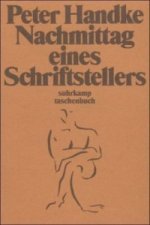 Nachmittag eines Schriftstellers