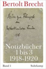 Notizbücher 1 bis 3 (1918-1920)