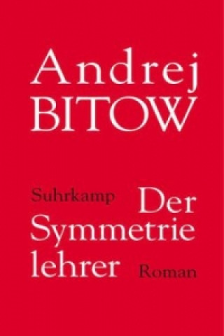 Der Symmetrielehrer