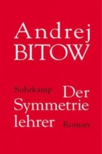 Der Symmetrielehrer