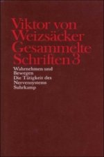 Wahrnehmen und Bewegen, Die Tätigkeit des Nervensystems