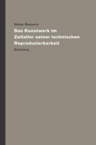 Werke und Nachlaß. Kritische Gesamtausgabe