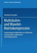 Multiskalen-Matrixkompression und Wavelet-Matrixkompression