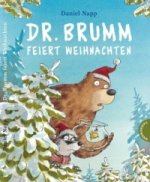 Dr. Brumm feiert Weihnachten, Mini-Ausgabe
