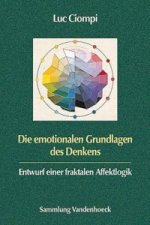 Die emotionalen Grundlagen des Denkens