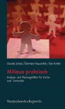 Milieus praktisch. Bd.1