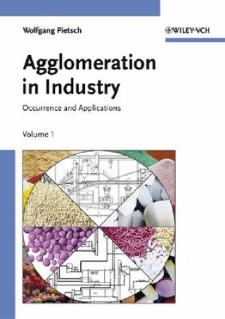 Agglomeration in Industry