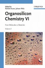 Organosilicon Chemistry. Vol.6